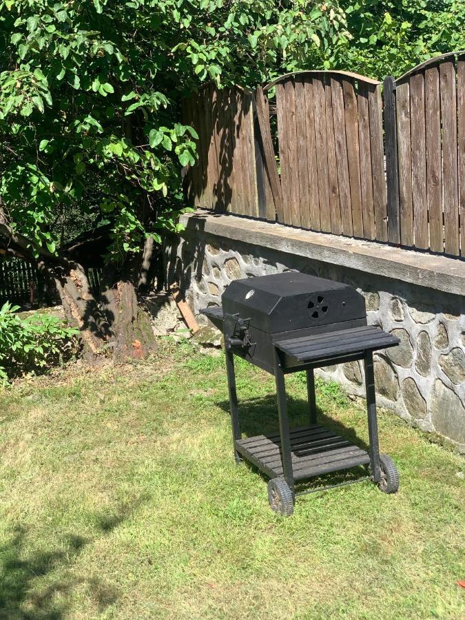 Vila Zia Hotel Corbeni Eksteriør billede
