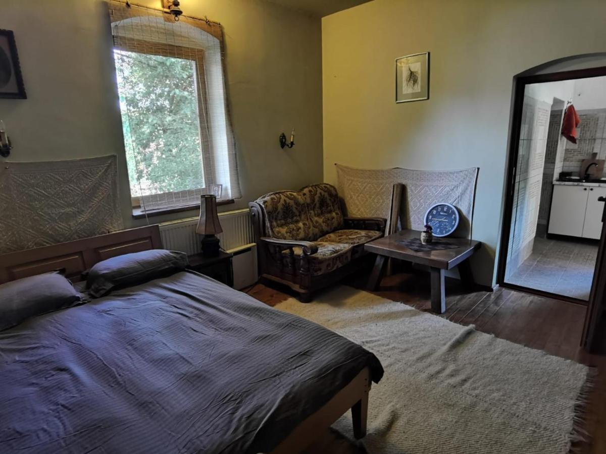 Vila Zia Hotel Corbeni Eksteriør billede