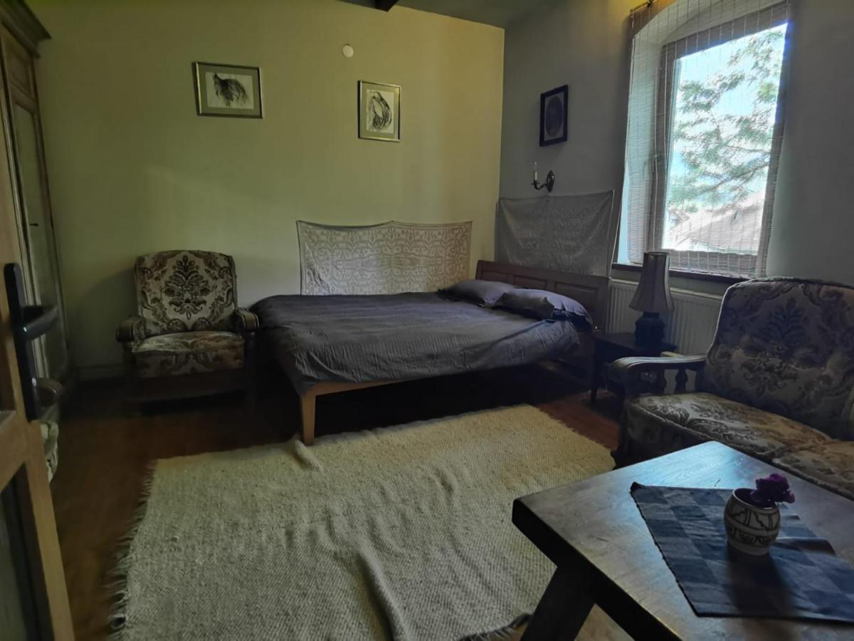 Vila Zia Hotel Corbeni Eksteriør billede